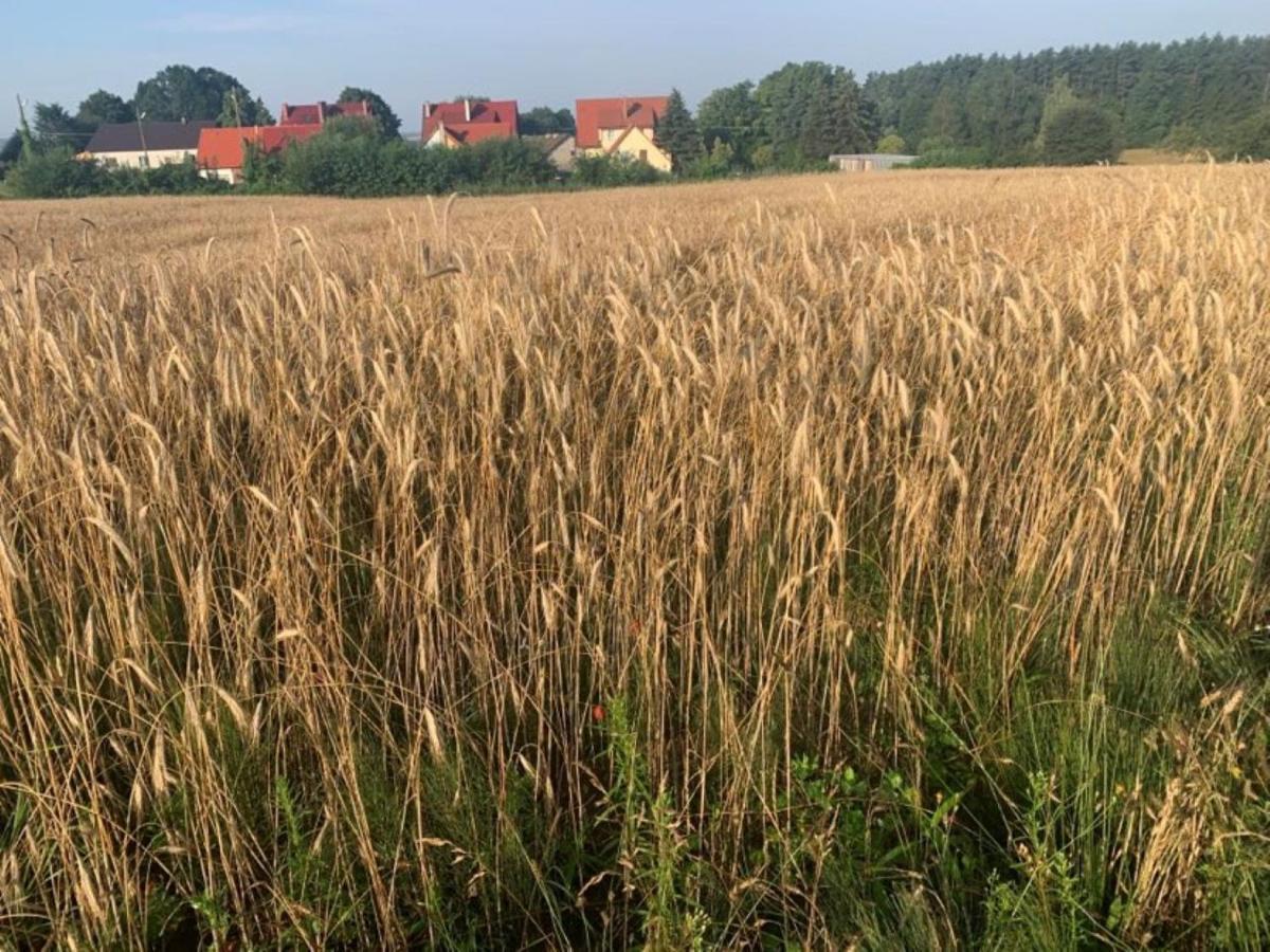 Tumidaj Cottage Bogacko Kültér fotó